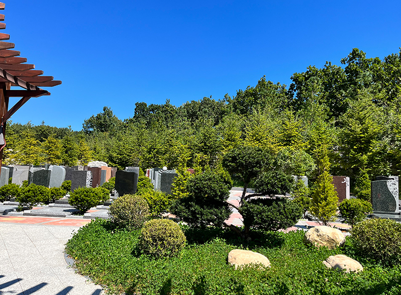 园区景观