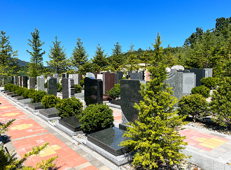 艺术区
